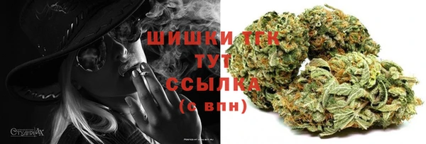 jwh Каменногорск