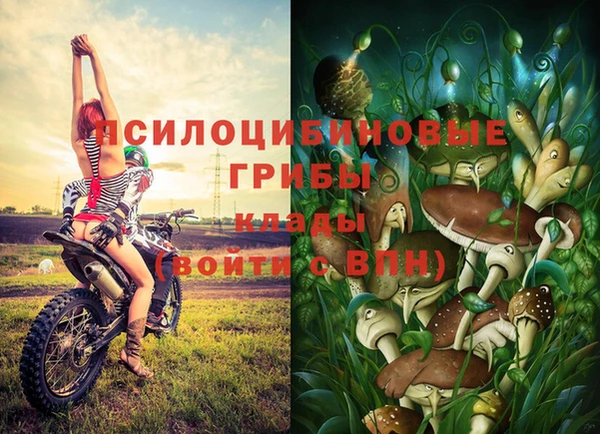 круглые Каменка