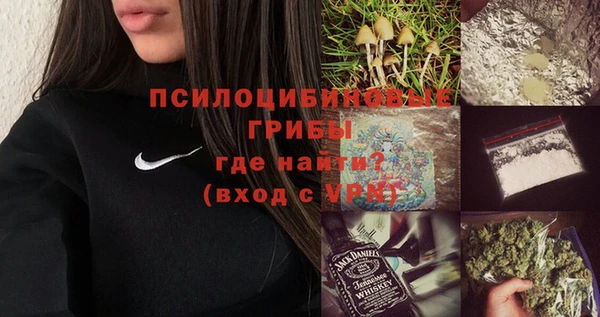 jwh Каменногорск