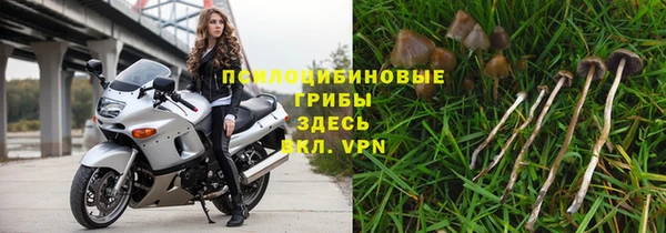 круглые Каменка