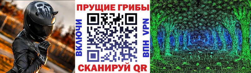 Купить закладки  Жердевка  Псилоцибиновые грибы Magic Shrooms 